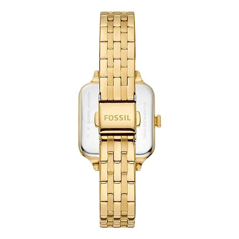 Fossil BQ3832 Ladies Colleen Watch, White, BQ3832-AMZUK