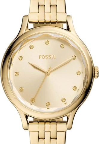 Fossil BQ3863 Ladies Laney Watch