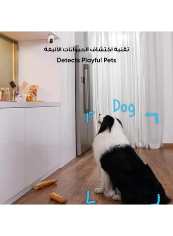 eufy Security 2K Indoor Cam Pan & Tilt, Home Security Indoor Camera, Human and Pet AI, Works with Voice Assistants, Motion Tracking, Night Vision, MicroSD Card Required, HomeBase Not RequiredBundle | Best Price UAE | Dubai, Abu Dhabi